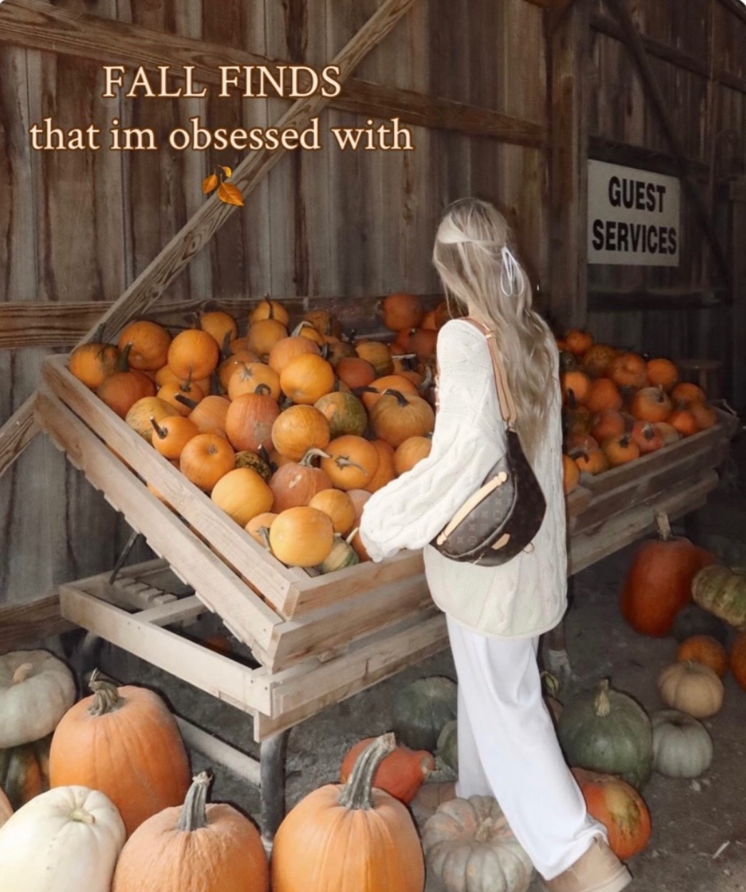 all fall finds as seen on my IG carousel🧡🍂

#LTKSeasonal #LTKHome #LTKgrwm