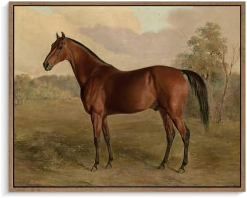Pinetree Art Framed Canvas Wall Art Room Decor, Vintage Horse Paintings Prints, Rustic French Far... | Amazon (US)
