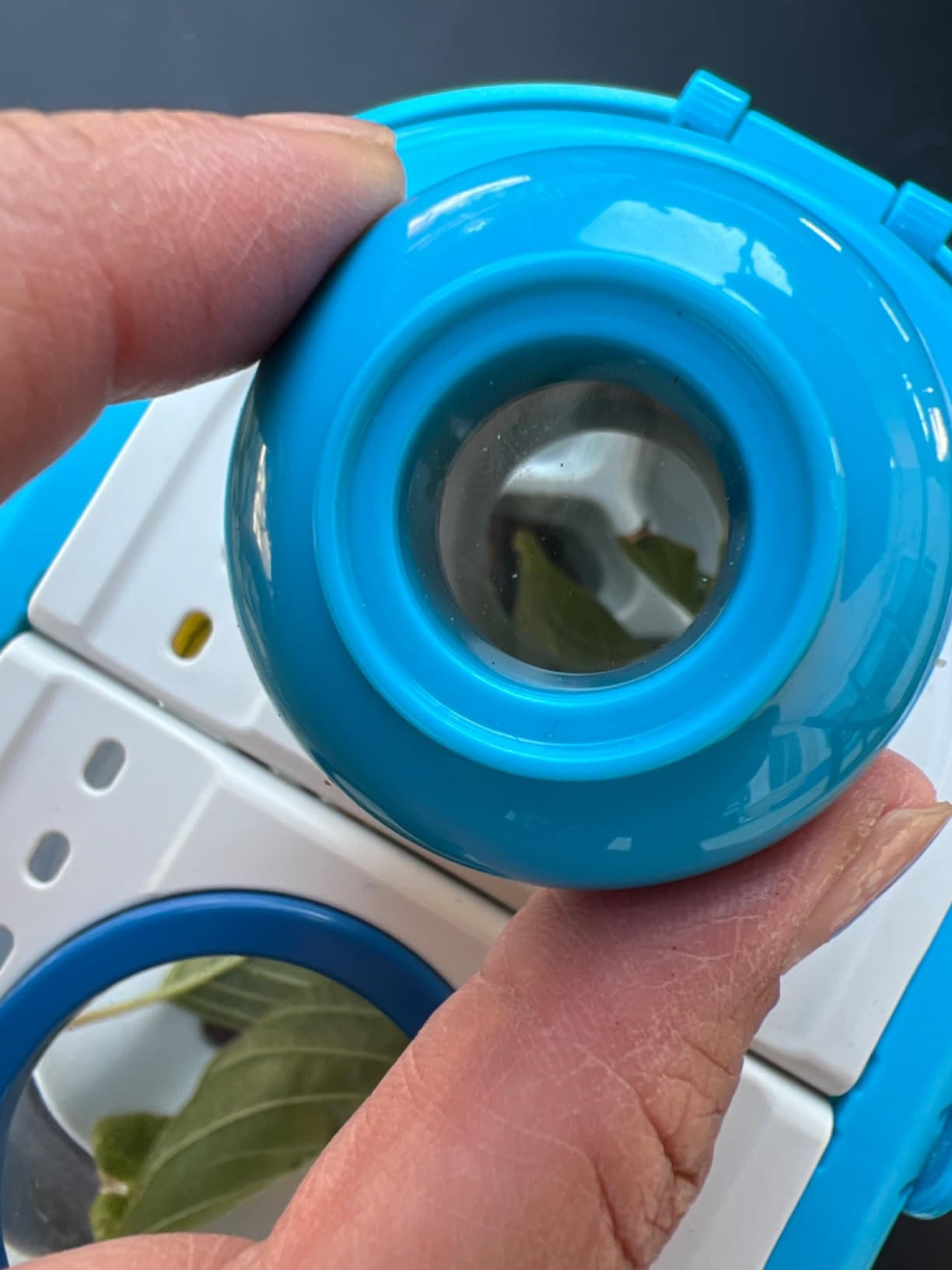 NATIONAL GEOGRAPHIC Bug Catcher Kit for Kids - Kids Bug Habitat with Magnified Viewer, Bug Catche... | Amazon (US)