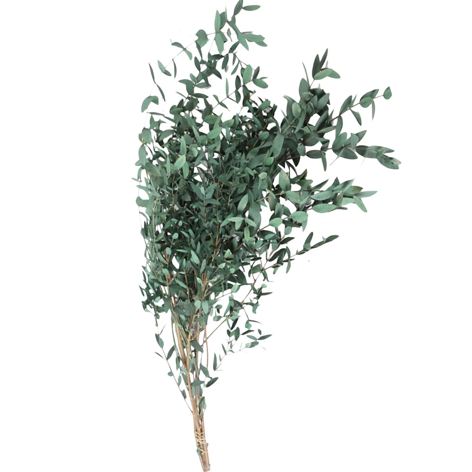 Famure Simulation pendant|Eucalyptus Leaves Bouquet Eternal Dried Flower for Wedding Decor | Walmart (US)