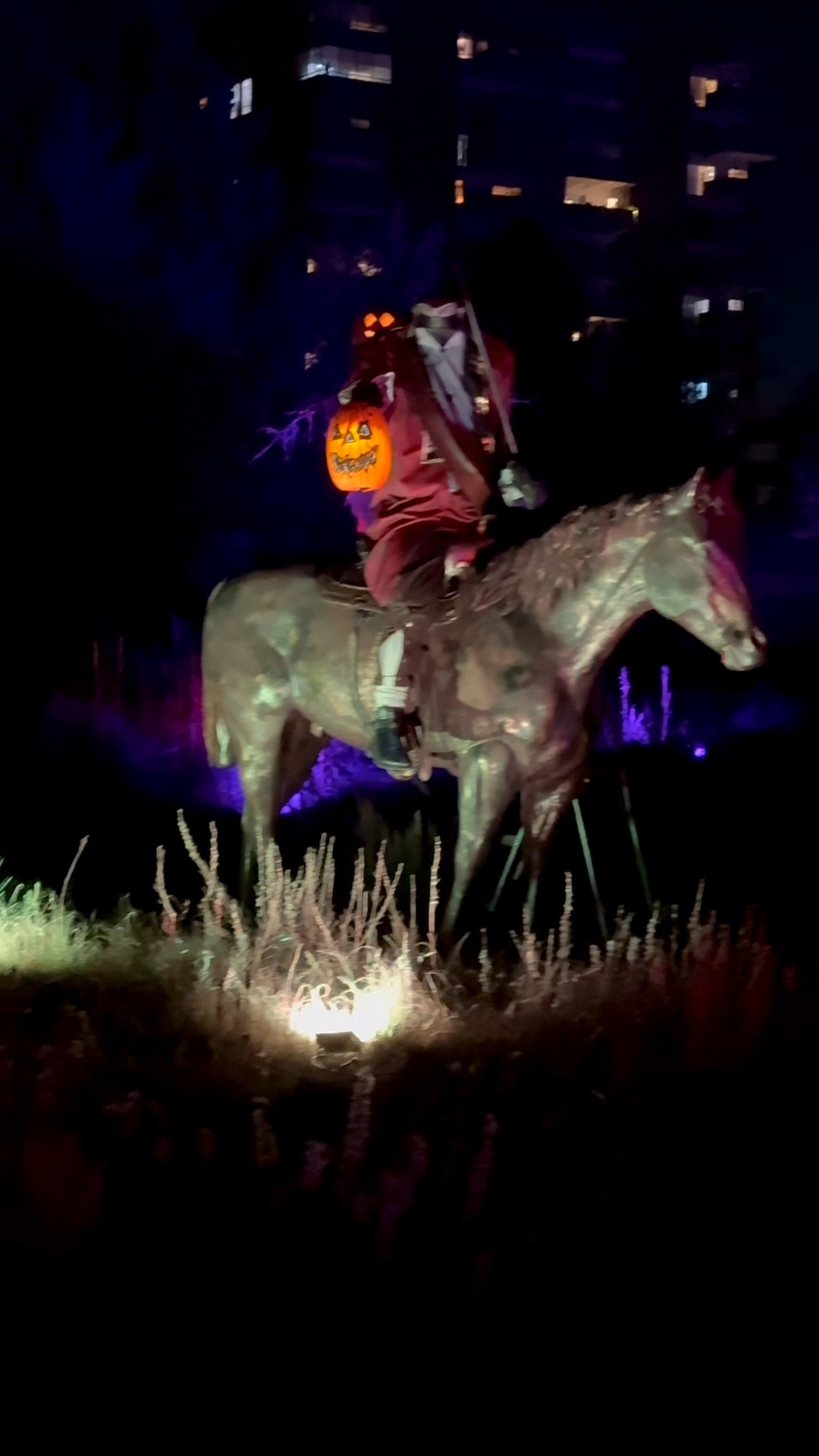 Come with us to the Denver Botanic “Glow At The Gardens”. Halloween event  

#LTKFamily #LTKStyleTip #LTKHalloween