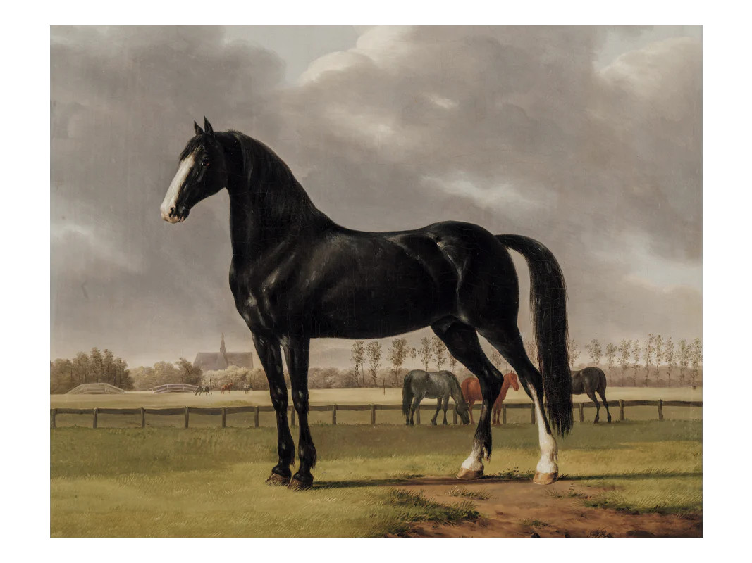 Agile | Heirloom Print Shop