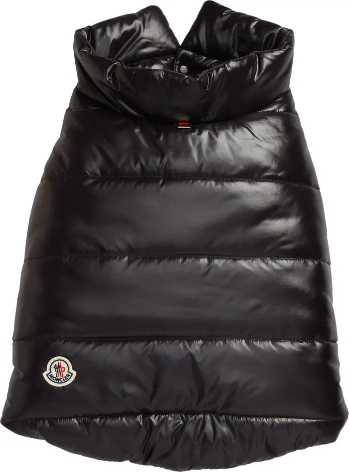 Moncler Genius Moncler Puffer Dog Vest | Nordstrom | Nordstrom