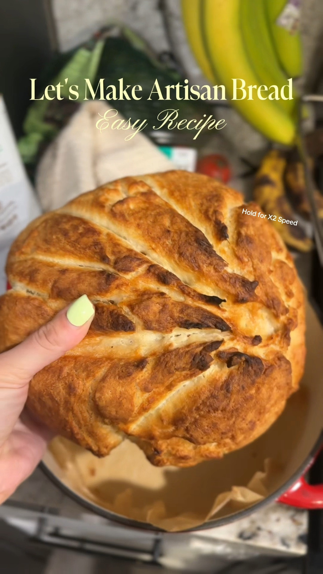 Home made bread 

#LTKfoodie #LTKdayinmylife #LTKvlog