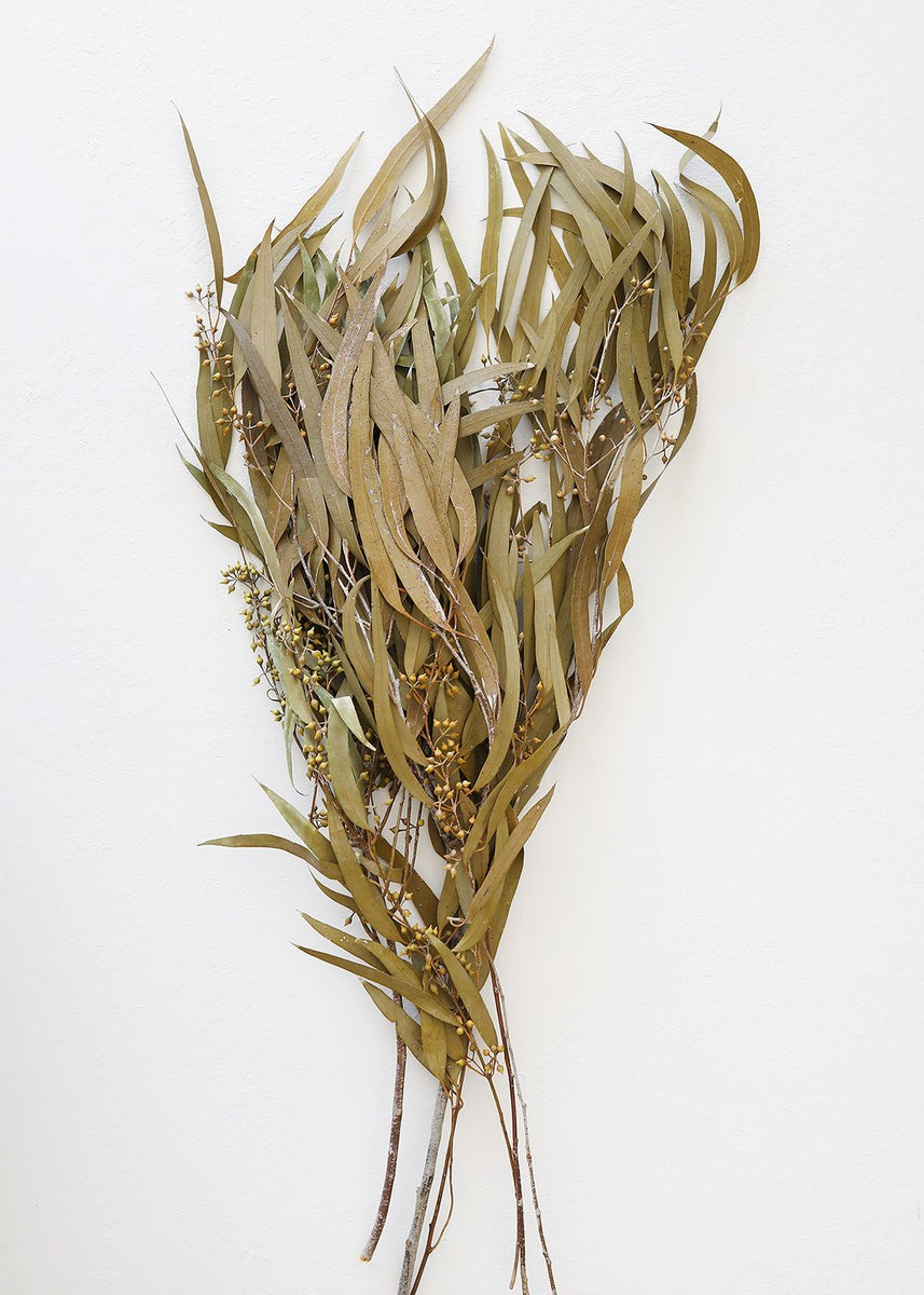 Olive Colored Preserved Seeded Eucalyptus - 18-28 | Afloral (US)