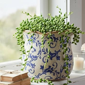 Retro Distressed Ceramic Flower Pots, Antique Crackle Glaze Planters with Drainage for Indoor Pla... | Amazon (US)