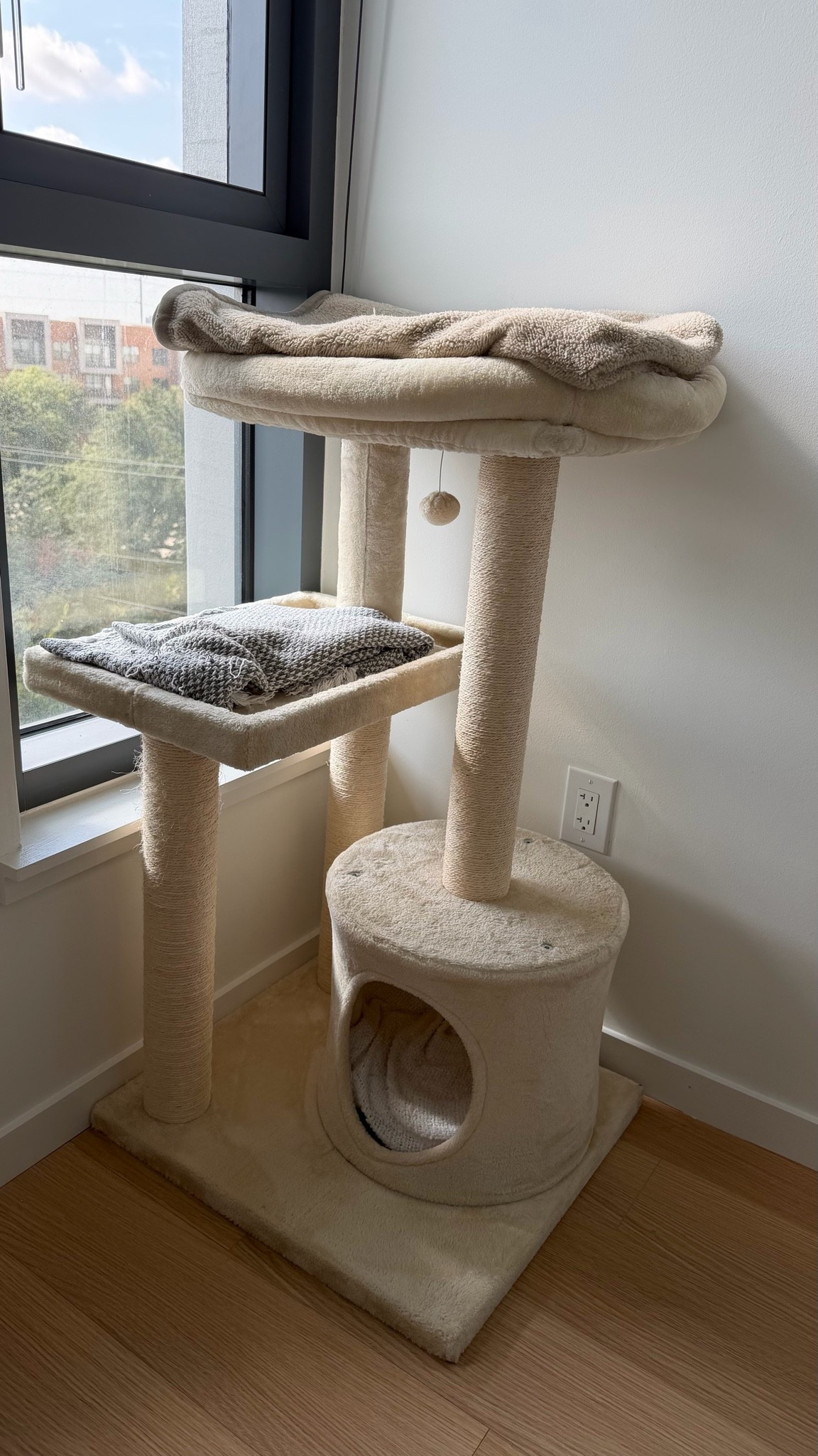 Cat Tower

#LTKHome #LTKvlog