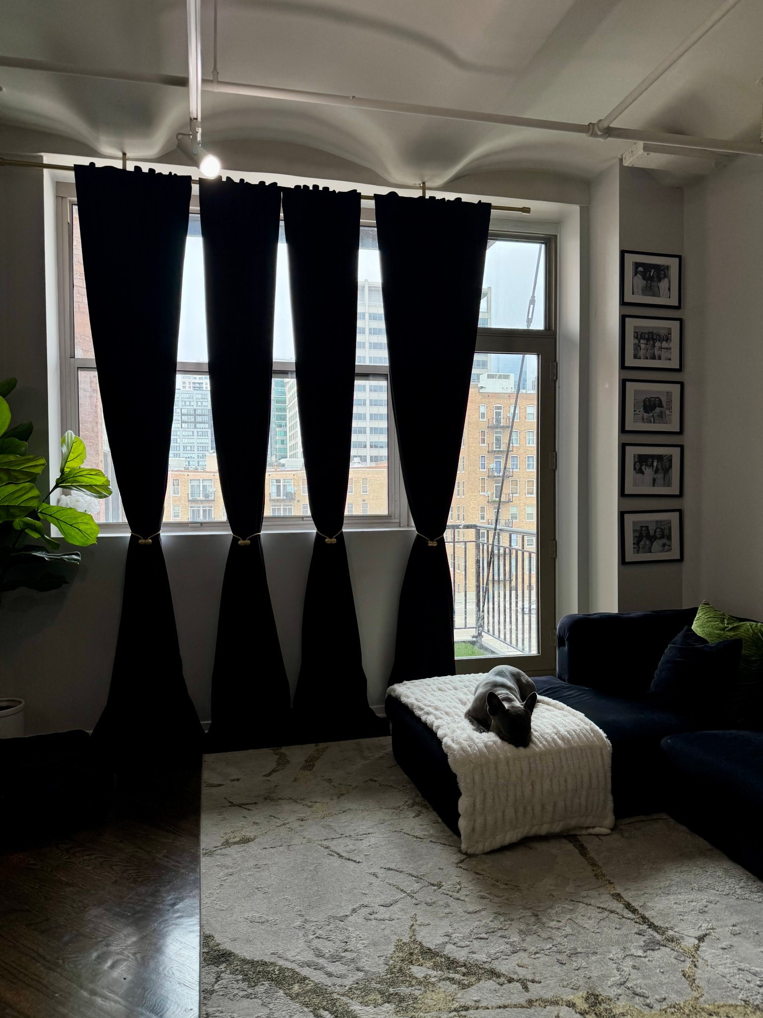 These 120-inch long blackout curtains from Amazon are the moment ✨🖤 They give luxe hotel vibes and block out all the light for the perfect cozy feel 💤. I also grabbed the gallery wall frames and throw pillows from Amazon—because easy + aesthetic is always the goal 🛋️🖼️. Couch is Wayfair, rug is Bed Bath & Beyond!

black blackout curtains, 120 inch curtains, Amazon home decor, modern gallery wall, black picture frames, velvet couch, green throw pillows, cozy living room, aesthetic apartment, Wayfair couch, Bed Bath and Beyond rug, blackout window treatments, minimalist living room, interior design inspo, Amazon living room finds

#LTKStyleTip #LTKFindsUnder100 #LTKHome