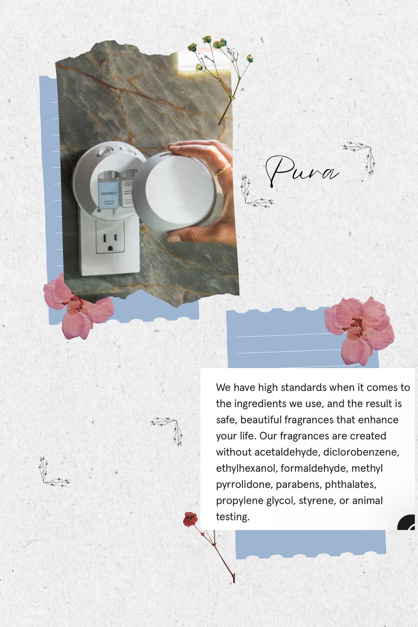 I am still loving the Pura Air freshener. Someone asked me if they used clean ingredients and I found the Pura Promise. All scents are completely clean and safe for pets and humans. 

#LTKFindsUnder50 #LTKHome