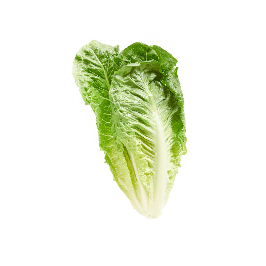 Romaine | Lettuce Grow