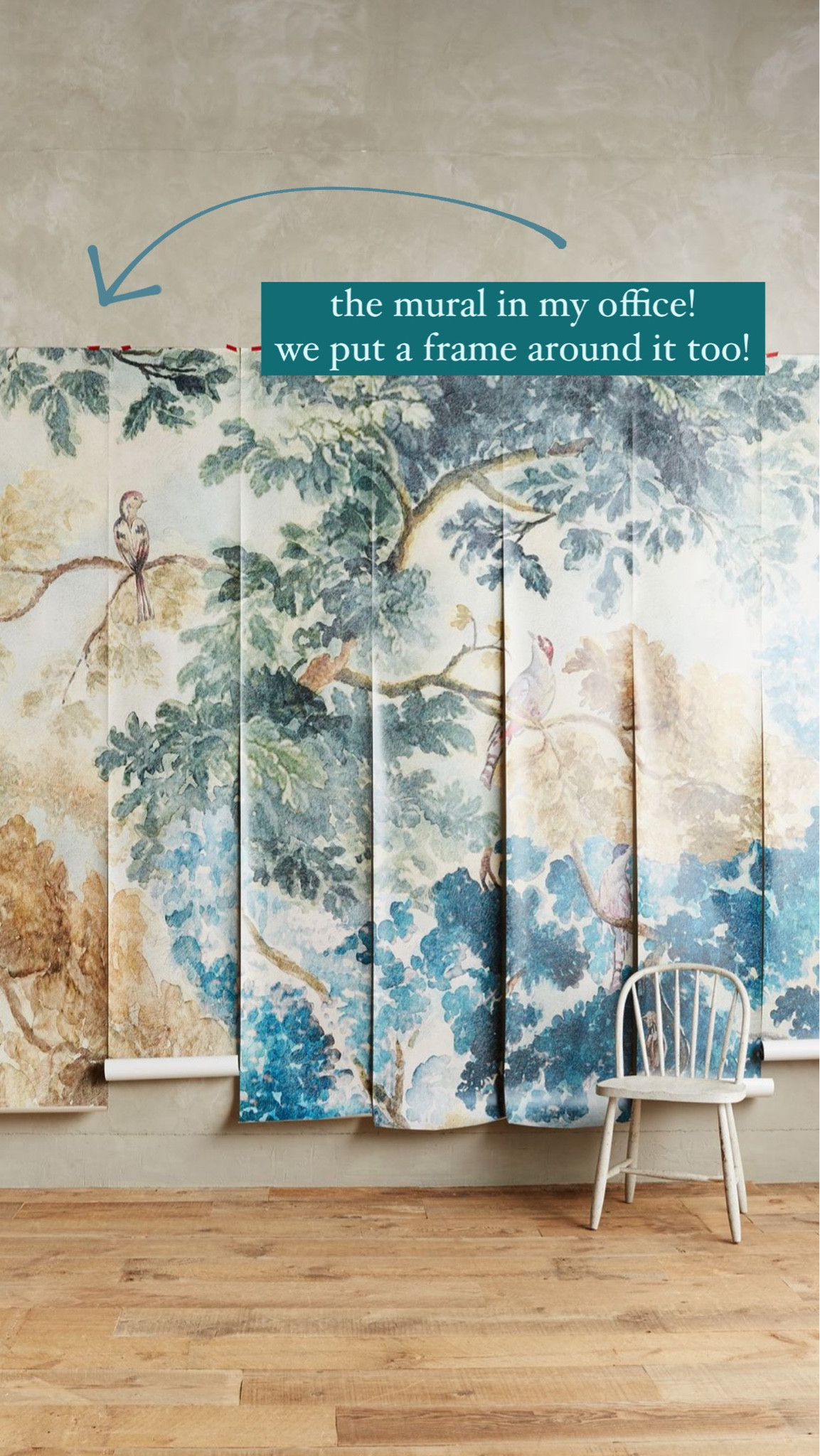 The mural in my office!!! 🦜

#LTKMens #LTKHome #LTKFamily