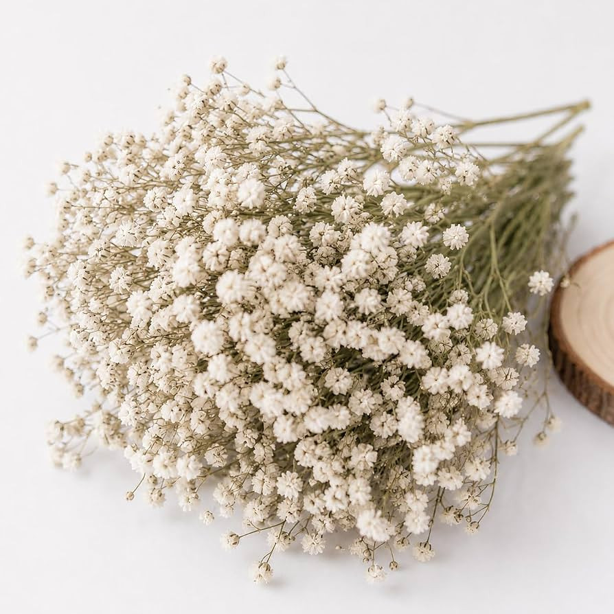 120 Pcs Mini Dried Flowers Natural Babys Breath Flowers with Ivory White Flowers, Natural Gypsoph... | Amazon (UK)