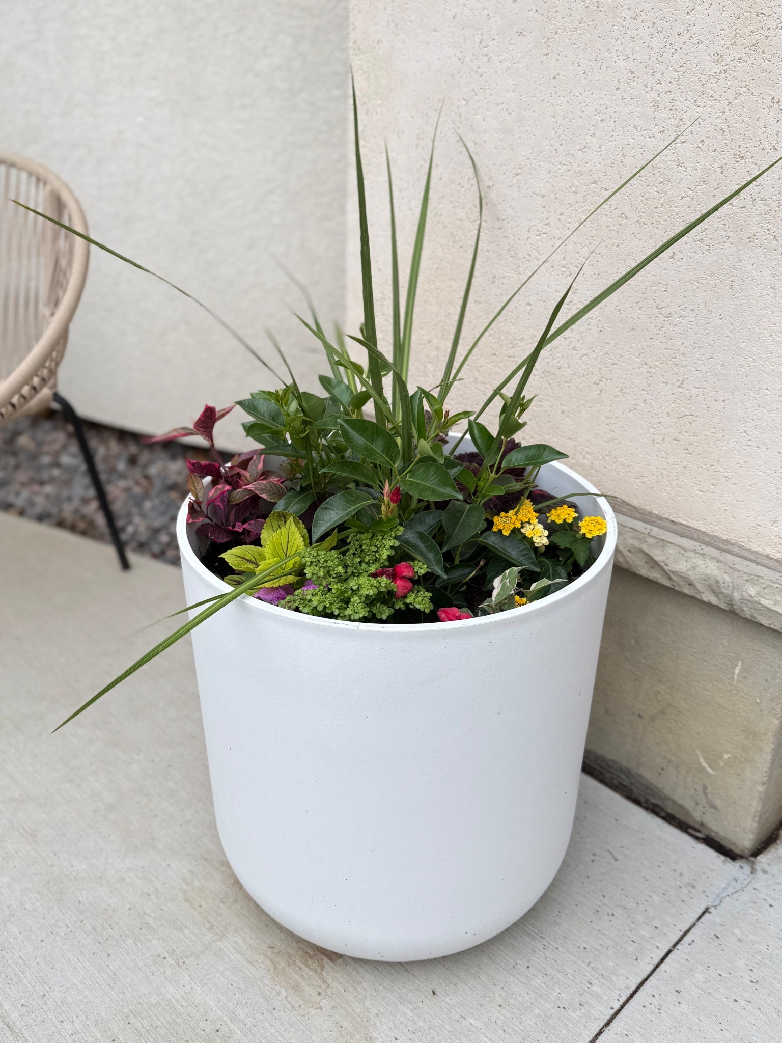 The cutest planters 

#LTKHome #LTKFamily #LTKSeasonal