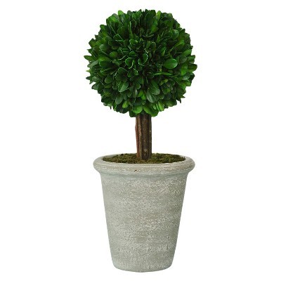 Preserved Boxwood Topiary - Medium - Smith & Hawken™ | Target
