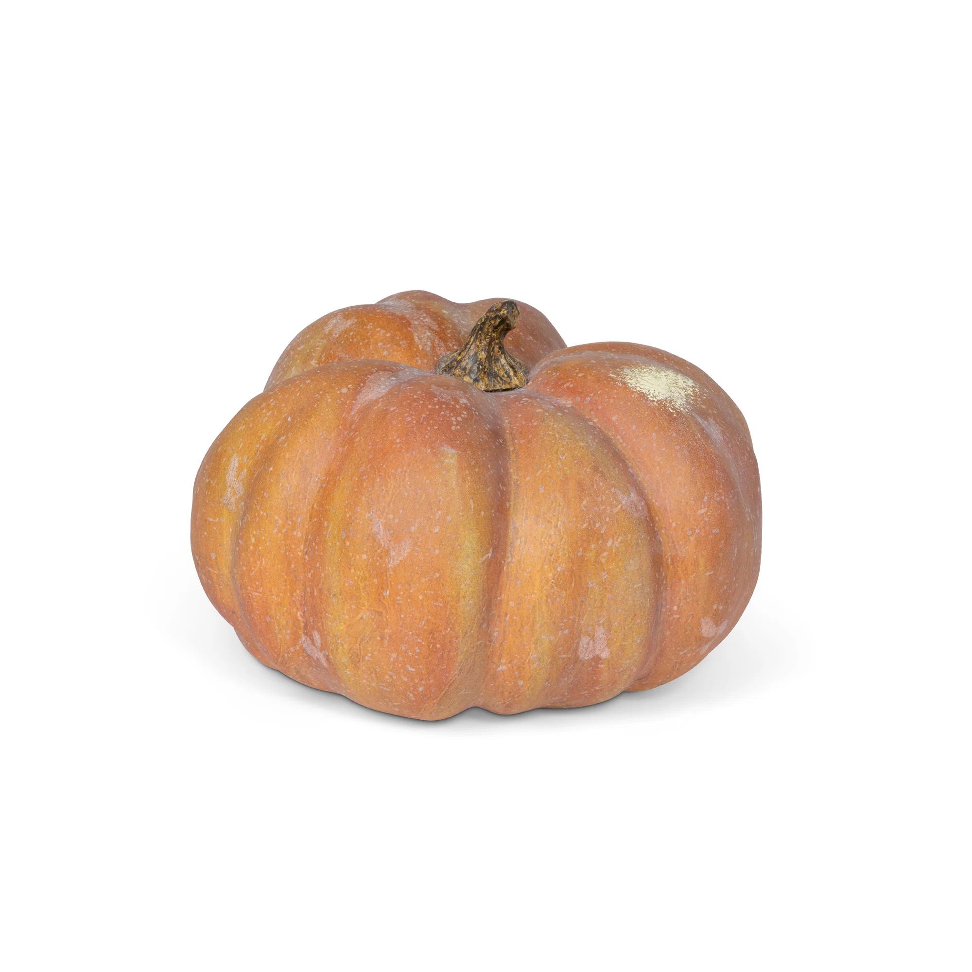 Park Hill Sweet Baby Pumpkin | Wayfair | Wayfair North America