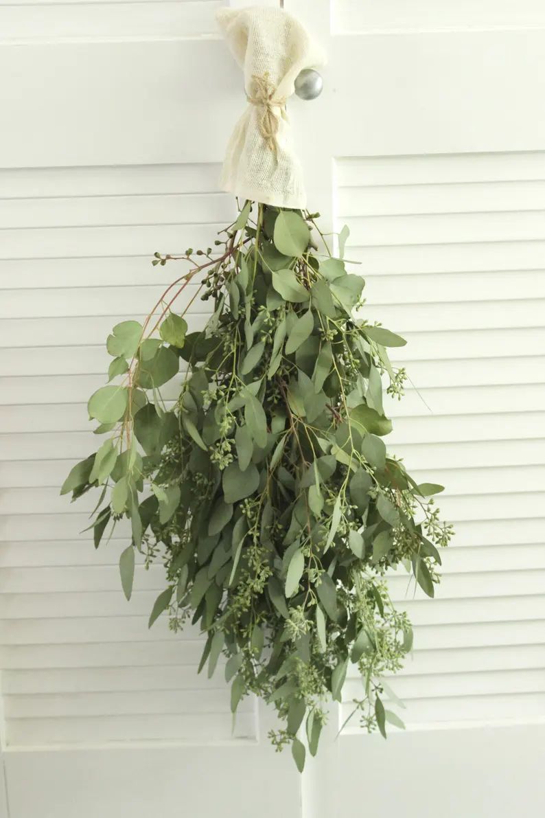 Fresh Seeded Eucalyptus Bunch 5-7 stem for wedding home | Etsy | Etsy (US)