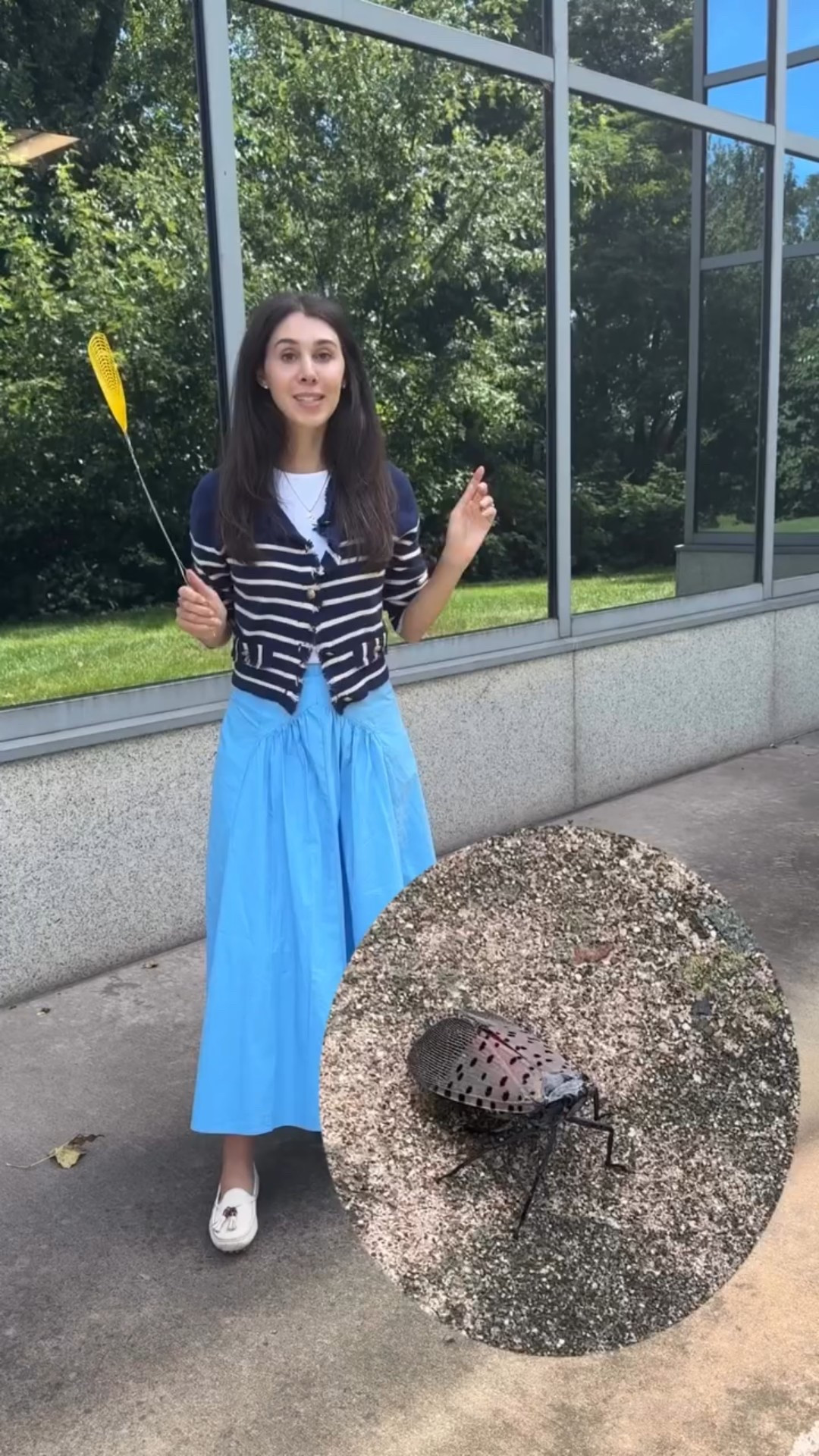 Fall transitional outfit! 