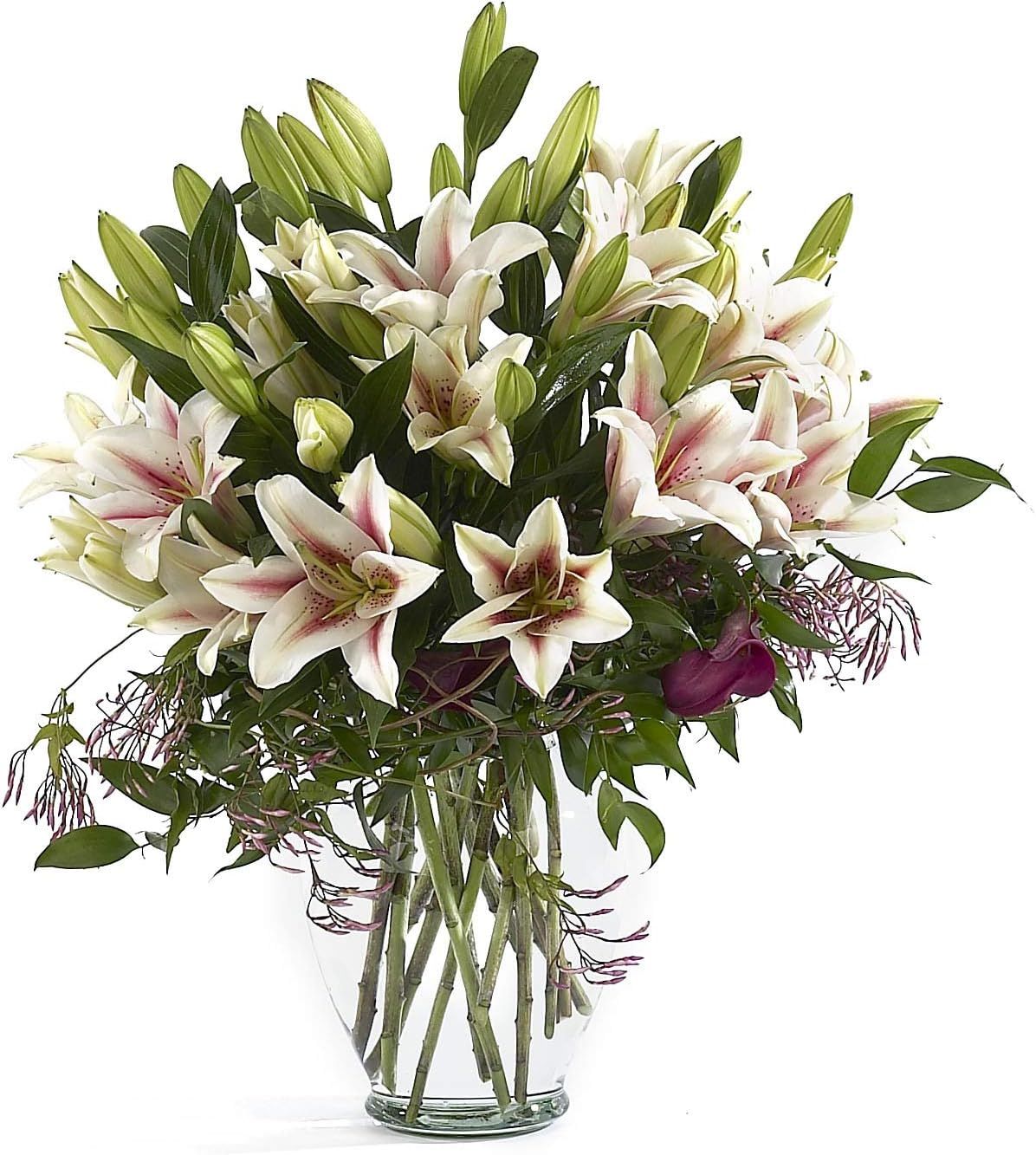Floral Supply Online 10 5/8" Clear Spring Garden Vase - Decorative Glass Flower Vase for Floral A... | Amazon (US)