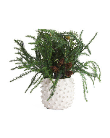 14in Real Touch Pine Arrangement In Ceramic Pot | TJ Maxx