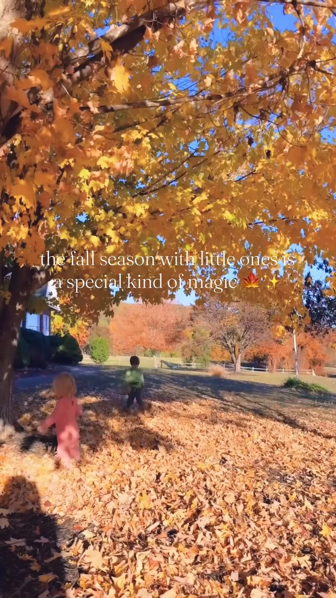 Nothing sweeter than seeing your little country babies playing and frolicking through the leaves together in peak fall season 👶🏼🍁🌳🍂 - ohhh these are the autumn days and memories I’ll cherish forever of this sweet and special season of life!!! 🥰🌾🫶🏽🍃🧡🐴✨ #novemberleaves #takemehomecountryroads #autumnmagic #fallwithlittles #childhoodfallmagic #fallinthecountry #immeasurablymore #carolinafall #raisinglittlecountryboys #novemberdays #thesweetestmemories #fallmagic #fallwithlittleones 

| Motherhood | Country Living | Homemaker | Stay at Home Mom | Joyful Motherhood | Farm Sweet Farm | Raising Country Babies | Faith | Baby and Toddler Days | Boy Mama x 2 | SAHM | These are the Days | Life with a Baby and Toddler | Full Hands Fuller Hearts | Fall with Littles | November Memories | Fall in the Country

…

#emilysayswes #judsoncarpentermabry #levirhettmabry #familyoffour #mommyblogger #stayathomemommy #boymamax2 #mommyblogger #sahm #mamaoftwo #stayathomemom #fallfun #novembermemories #LTKFall #LTKfamily #LTKBaby @shop.ltk 