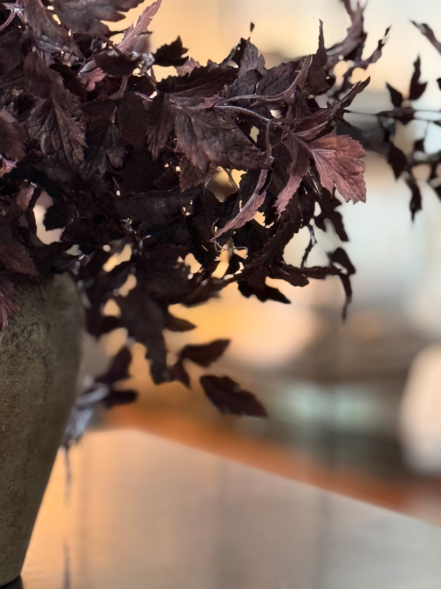 Rounding up my favorite brown vases that bring warmth and texture to any space—perfect for fall styling. I’ve paired them with cozy stems that instantly elevate your shelf, table, or entry. Mix, match, and layer for that effortless modern rustic look.

#fallhomedecor #neutraldecor #modernrustic #vasedecor #fallstems #cozyvibes #ltkhome #shelfstyling #falldecorideas #interiorinspo #homeaccents #homestyling #ltkfinds #ltkfall #earthtones #browndecor

#LTKSaleAlert #LTKHome #LTKFindsUnder50