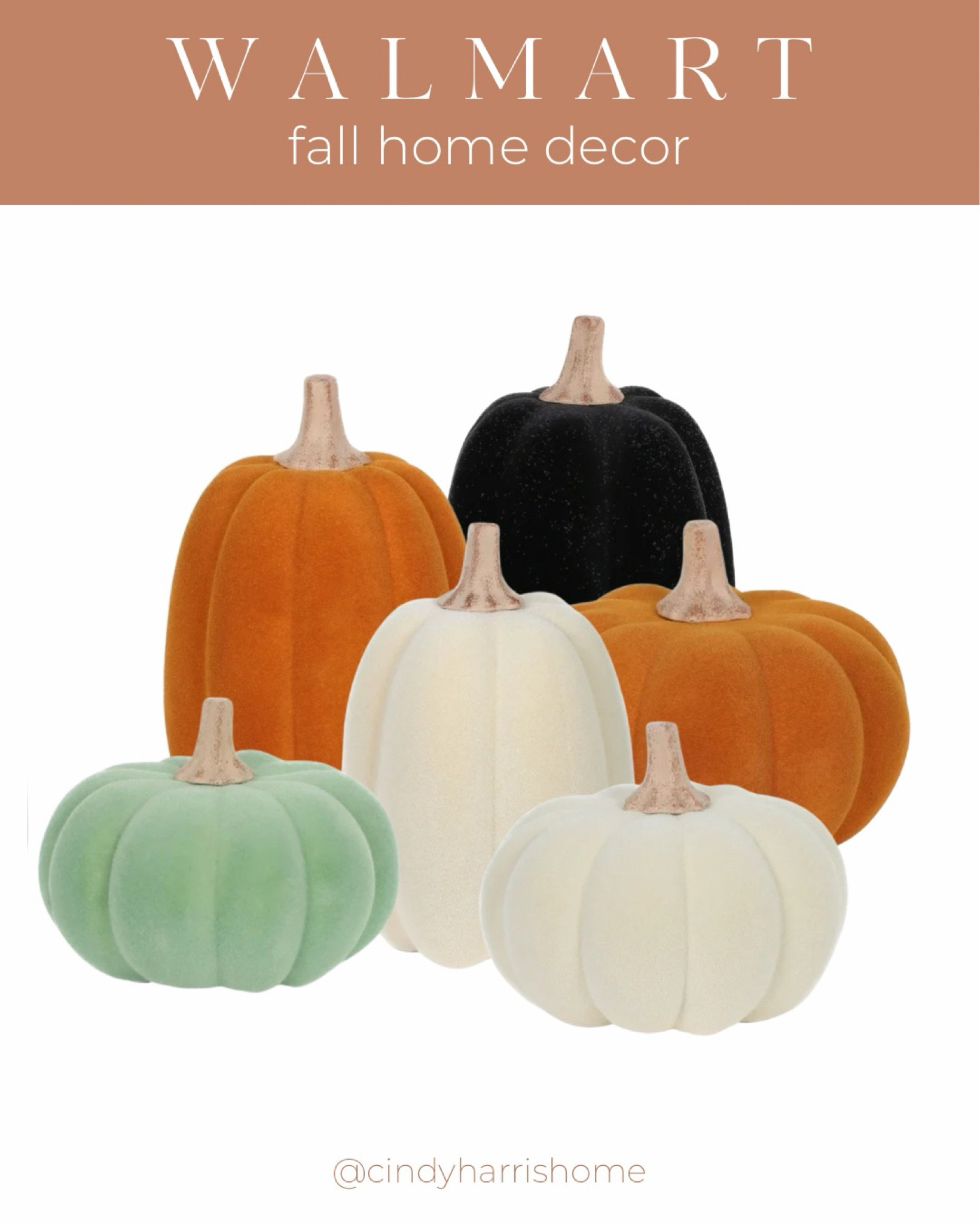 Have you seen the FLOCKED PUMPKINS at Walmart?! In love! Perfect for fall and Halloween. 

#LTKSeasonal #LTKHome