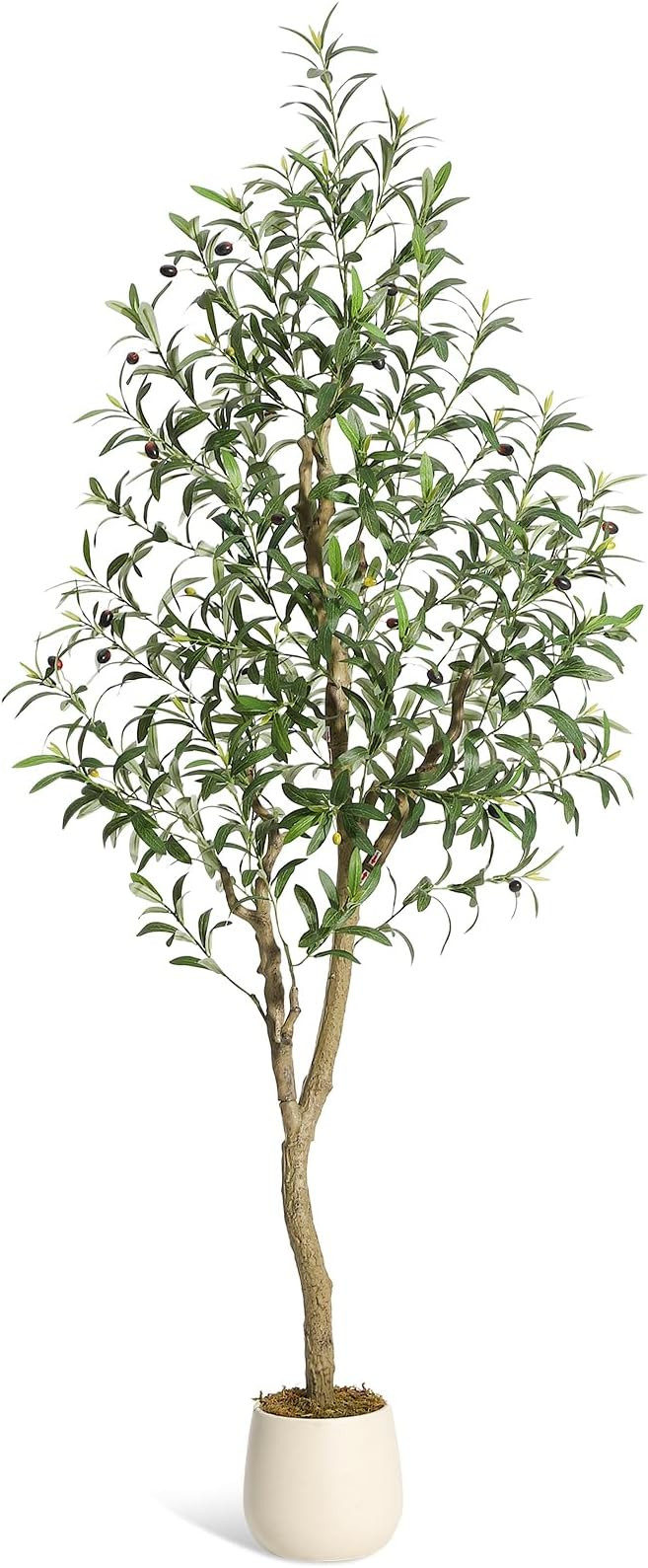 Olive Trees Artificial Indoor, 6ft Tall Faux Silk Plant - Fake Potted Tree with White Planter, Ar... | Amazon (US)