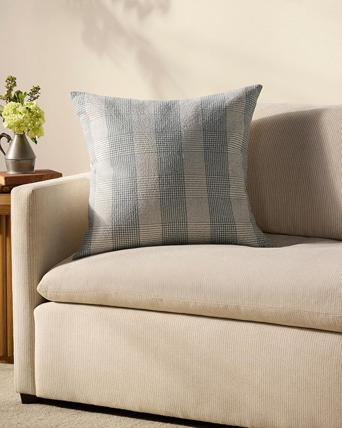 Loloi Chris Loves Julia Auggie Collection PCJ0021 Blue/White 22'' x 22'' Cover w/Down Pillow | Amazon (US)