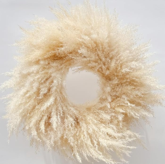 23'' Natural Pampas Grass Wreath for Indoor Decor, Handmade Dried Boho Wreath for Front Door or Wall, Rustic Farmhouse Decor for Living Room, Bedroom, and Entryway (Beige) | Amazon (US)