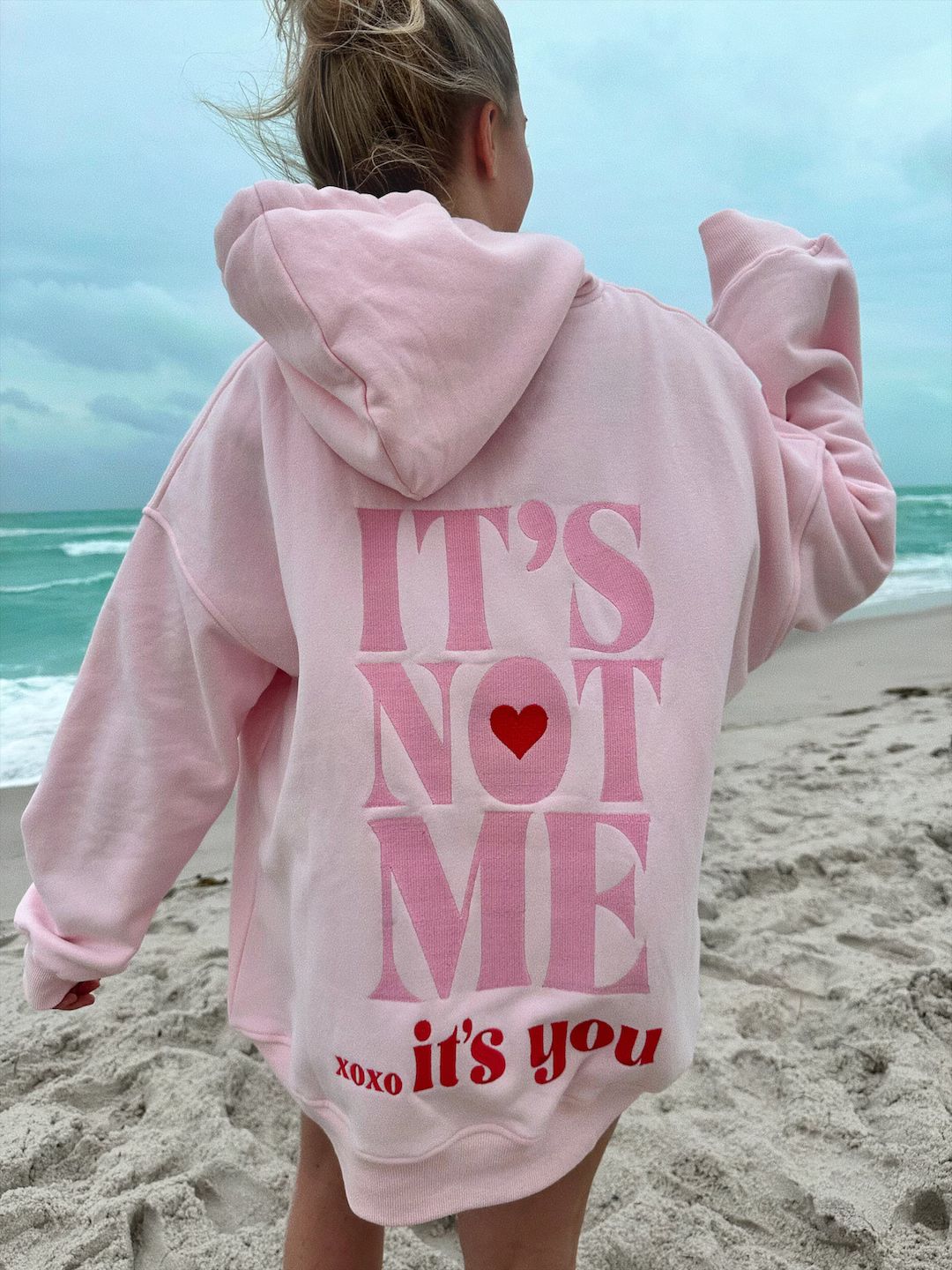 It's Not Me It's You Embroider Hoodie - Etsy | Etsy (US)