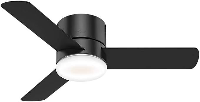Hunter Minimus Indoor Low Profile Ceiling Fan with LED Light and Remote Control, 44", Matte Black | Amazon (US)