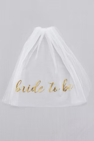 Bride To Be Veil | Davids Bridal