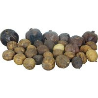 33 Antique Decorative Whole Dried Fruits Pomegranates & Lemon Limes 3 | Etsy (US)