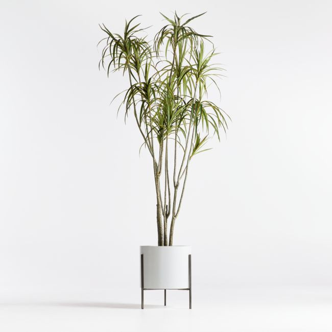 Faux Potted Dracaena 6.5' | Crate & Barrel