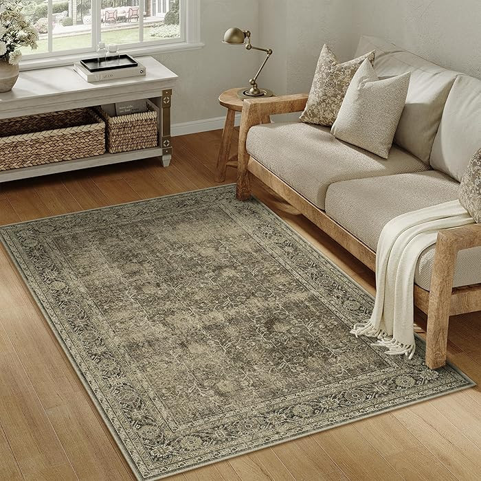 Vintage Area Rug 4x6 Light Brown Bedroom Indoor Kitchen Washable Living Room Carpet Tribal Distre... | Amazon (US)