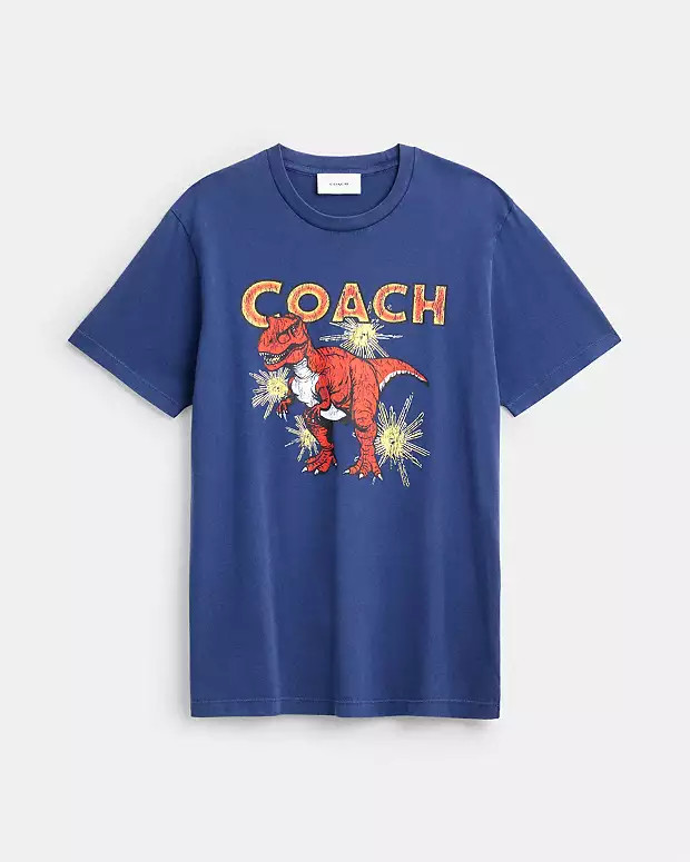 Garment Washed Dinosaur T-Shirt | Coach (US)