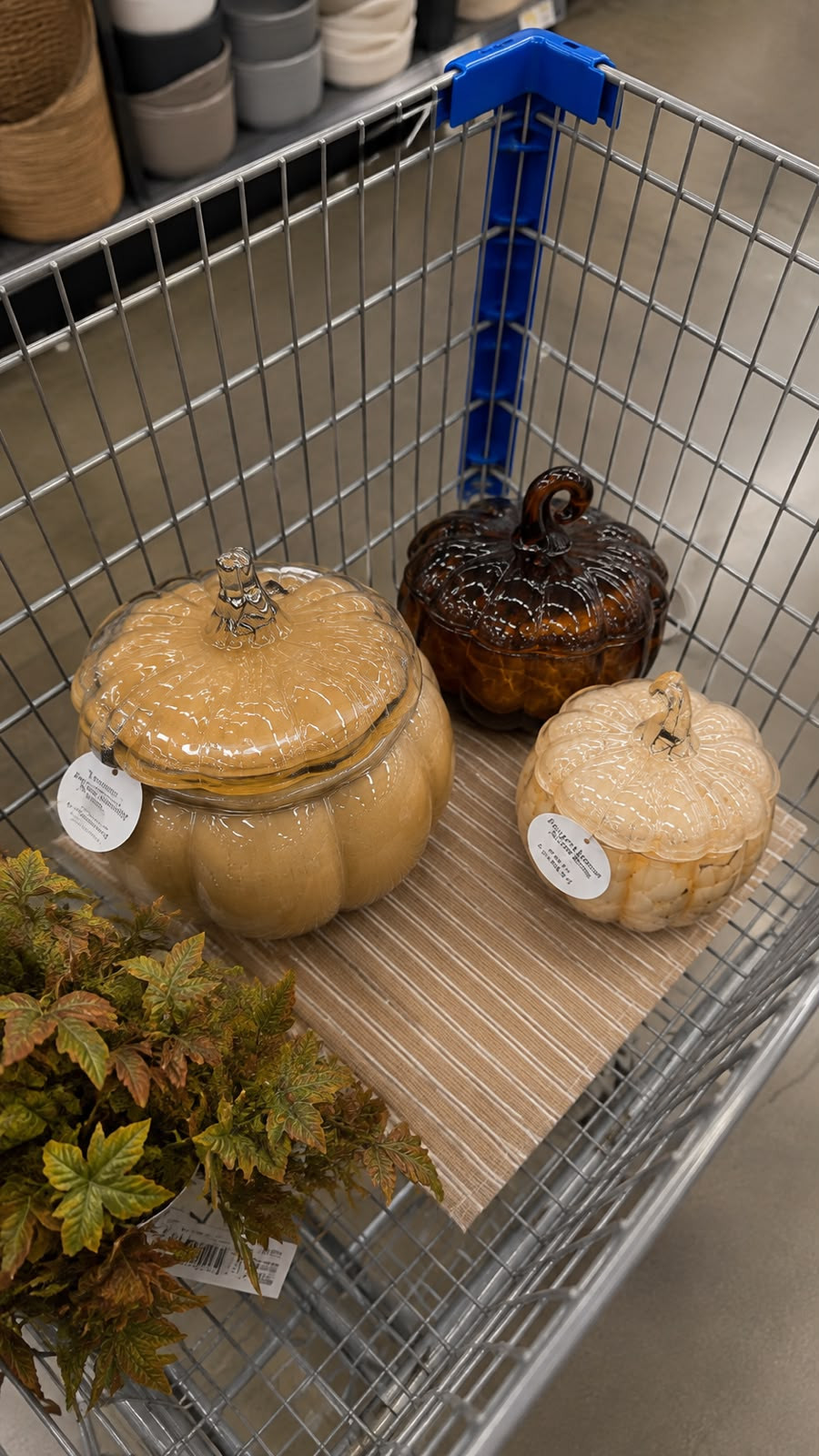 These pumpkin containers are one of my favorite seasonal finds! They’re perfect for candy, cookies, coffee bar essentials, or simply styling around the house for a cozy fall vibe.

#LTKhome #LTKeurope #LTKfamily