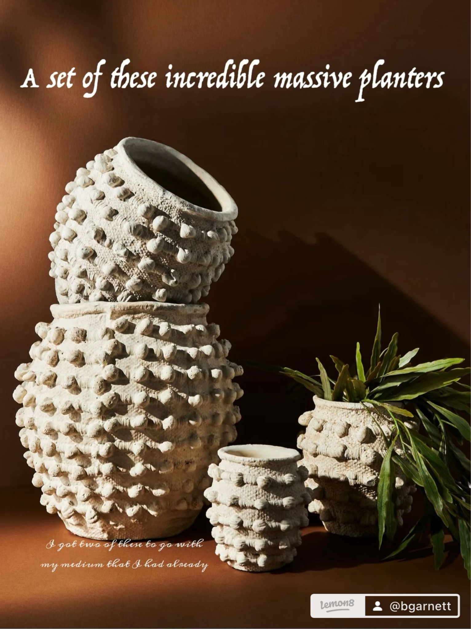 I bet Monday steel of the century. I snagged two of the largest size of my favorite anthro planter. I have the medium in my kitchen as well as a few other similar styles scattered throughout my home 

I snagged mine in store for $25 but online they are still a steal at under $90

Cyber Monday | Anthro home | planter | vase | home decor 

#LTKHoliday #LTKHome #LTKCyberWeek