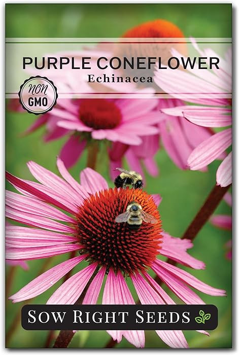 Sow Right Seeds - Purple Coneflower/Echinacea Flower Seeds for Planting - Non-GMO Heirloom - Plan... | Amazon (US)