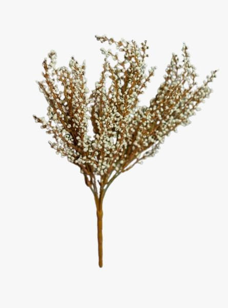 Cream Berry Cluster | Amazon (US)