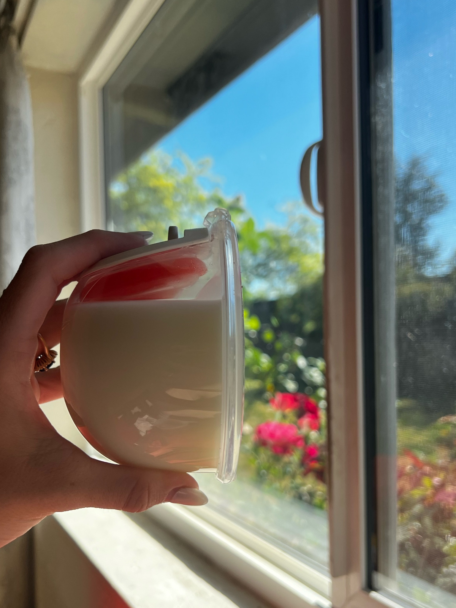 The most elite collection cups!! I love pumping with collection cups vs. bottles. It’s way more comfortable and I find it makes pumping a less agonizing experience lol. I also linked some similar collection cups! 🩵 #pumpingmom #breastfeeding #breastfed 