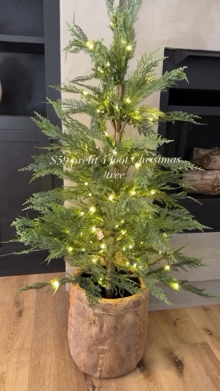 Out of stock since I posted last night. But it comes in larger sizes this year! Linked those and they are available! 

#LTKSeasonal #LTKHome