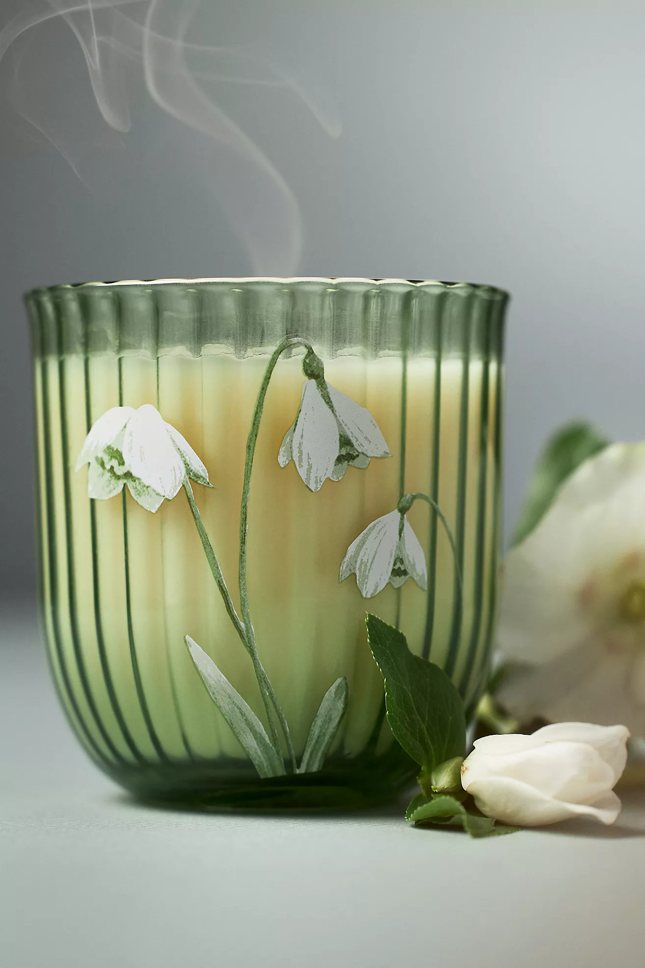 January Birth Month Flower Snowdrop & Almond Blossom Boxed Candle | Anthropologie (US)