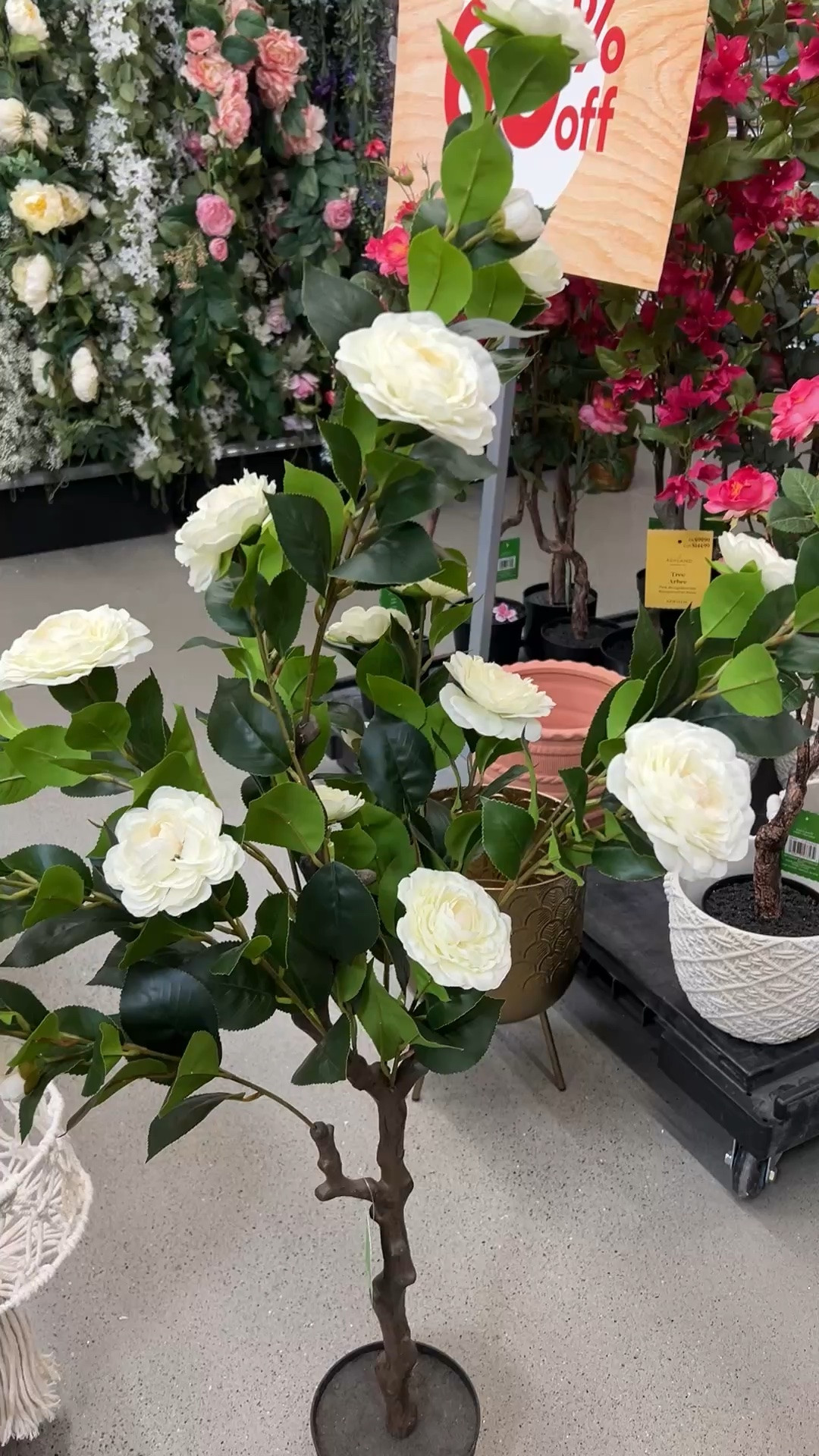 This Beautiful artificial Camelia tree is on sale right now!
And also could be a great gift for Mother's Day 😁
#viralmichaels #cameliatree #artificialflowers #springstems

#LTKmomlife #LTKMothersDay #LTKSeasonal