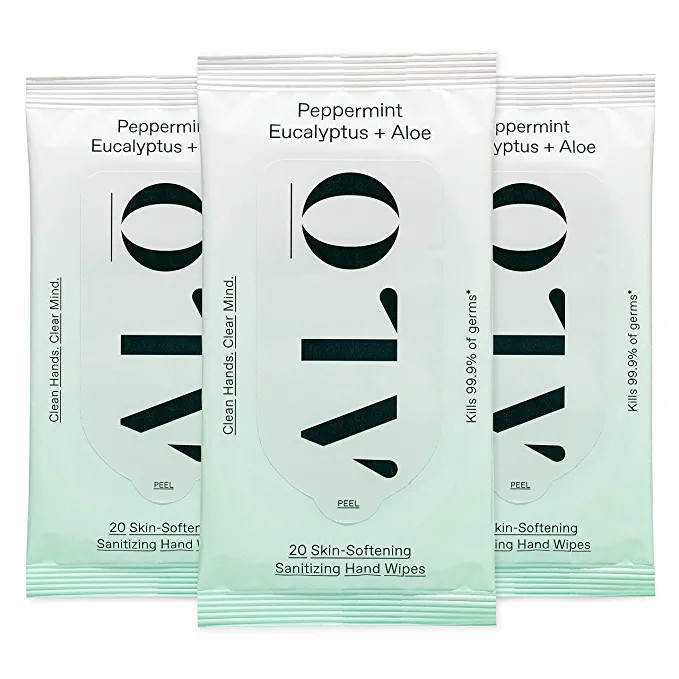 Amazon.com : ALŌ Peppermint Eucalyptus + Aloe Sanitizing Hand Wipes - Clean Hands, Clear Mind - ... | Amazon (US)