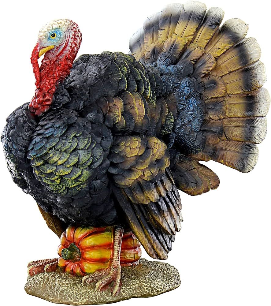 Design Toscano QM2373100 North American Turkey Statue,full color,Small | Amazon (US)