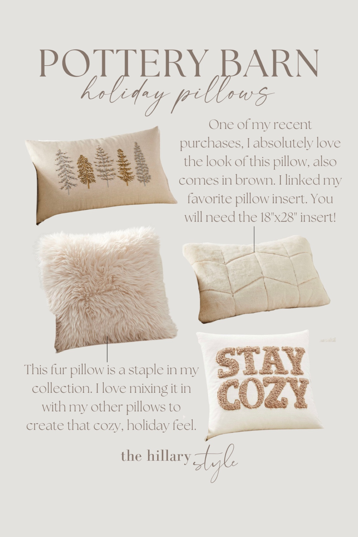 Pottery Barn Accent Pillows