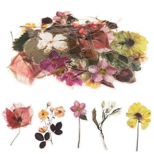 Natural Flower Stickers for Scrapbooking,PET Nature Plant Stickers Floral Stickers Vintage Craft Sticker,Colorful Small Flower Sticker for Journaling Scrapbooking Clear Flower Decal (Style D) | Amazon (US)