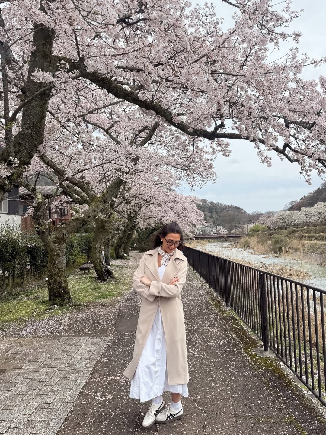 cherry blossom maxxing in tokyo 