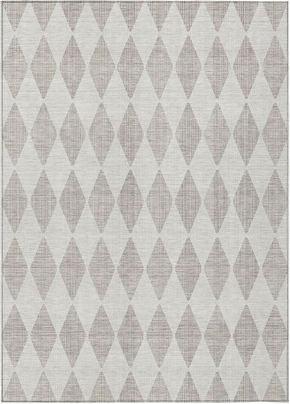 Chantille ACN578 Beige 8' x 10' Indoor Outdoor Area Rug, Easy Clean, Machine Washable, Non Sheddi... | Amazon (US)